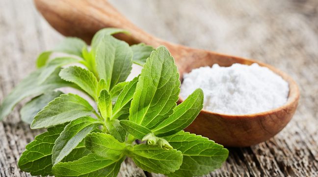 Đường Stevia là gì? Có nên sử dụng Stevia thay thế cho đường không?